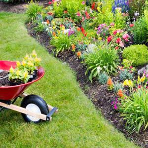 Entretien espace vert Parc & Jardin 41