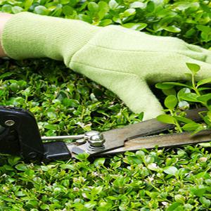 Entretien espace vert Parc & Jardin 41