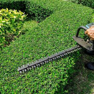 Entretien espace vert Parc & Jardin 41